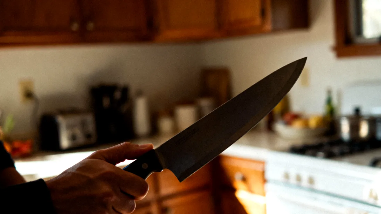 Coltelli da cucina"